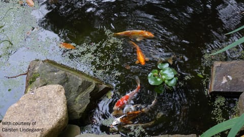 Gîte La Bertichère House in Brittany
