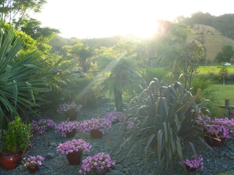 At Parkland Place B&B Bed and Breakfast in Whitianga