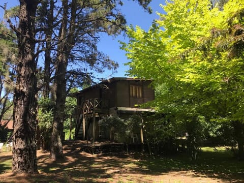 Chalet en el bosque Casa in Costa del Este