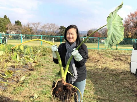 Tubakiann Bed and Breakfast in Fukuoka Prefecture