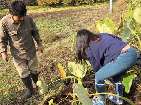 Tubakiann Bed and Breakfast in Fukuoka Prefecture