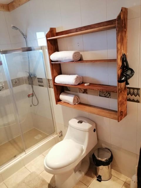 Shower, Toilet, Bathroom, towels