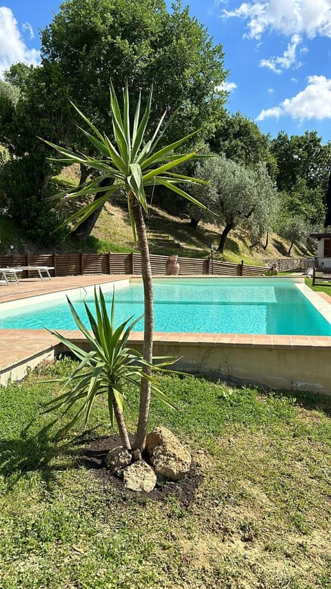 Spring, Day, Natural landscape, Garden, Garden view, Pool view, Swimming pool
