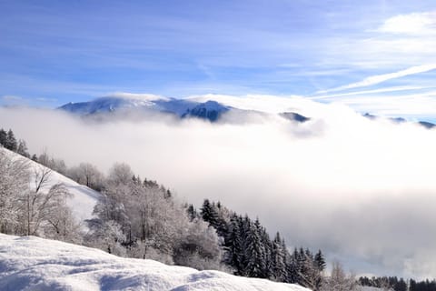 Natural landscape, Winter, Mountain view