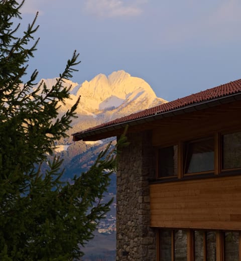 Property building, Natural landscape, Winter, Mountain view