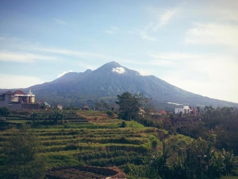 Natural landscape, Mountain view