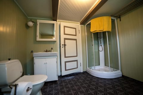 Shower, Toilet, Bathroom, Photo of the whole room