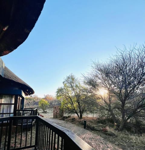 View (from property/room), Balcony/Terrace