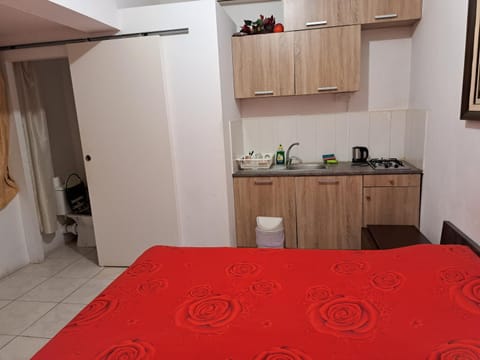 City Large Studio Bed and Breakfast in Limassol City