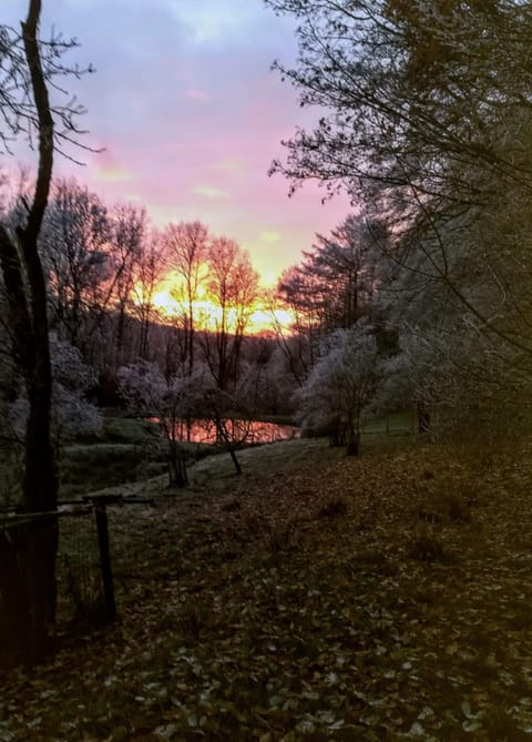 River view