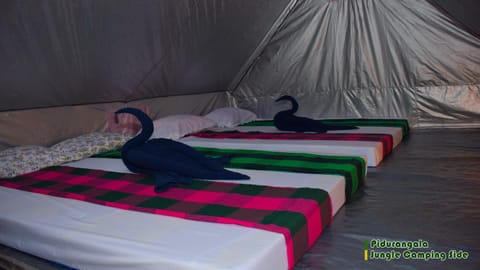 Sigiri Jungle Camping Campingplatz /
Wohnmobil-Resort in Dambulla