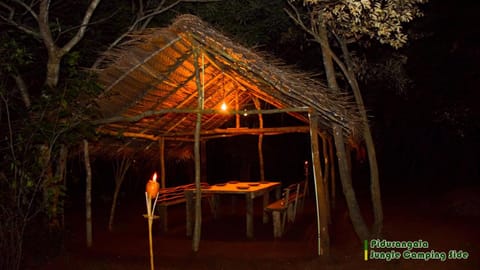 Sigiri Jungle Camping Campground/ 
RV Resort in Dambulla