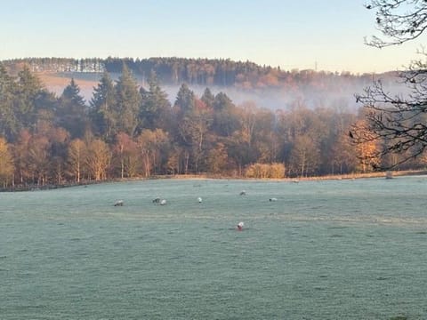 The Bothy at Ivy Cottage Apartment in England
