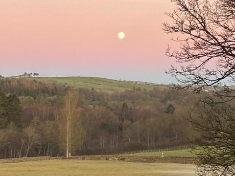 The Bothy at Ivy Cottage Apartment in England