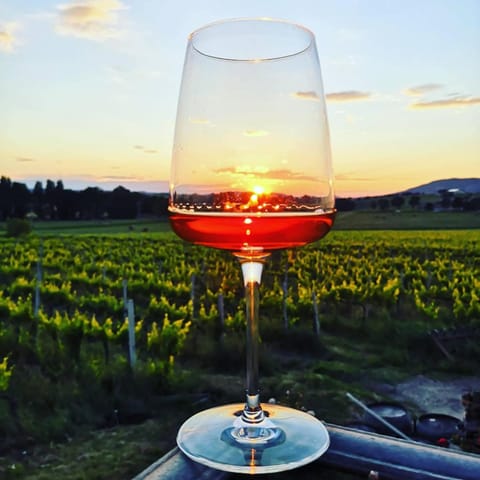 Natural landscape, Food and drinks, Drinks, Alcoholic drinks, Sunset