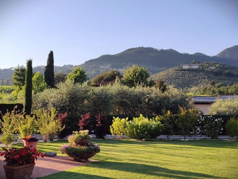 Tuscan Villa exclusive use of private pool A/C Wifi Villa Briciola Chalet in Capannori
