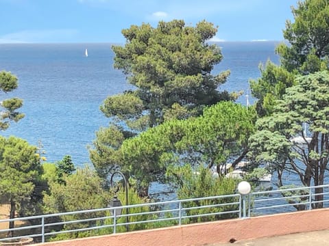 Studio a Collioure a 150 m de la plage avec vue sur la mer et balcon amenage Apartment in Collioure