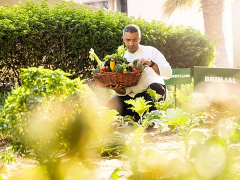 People, Garden