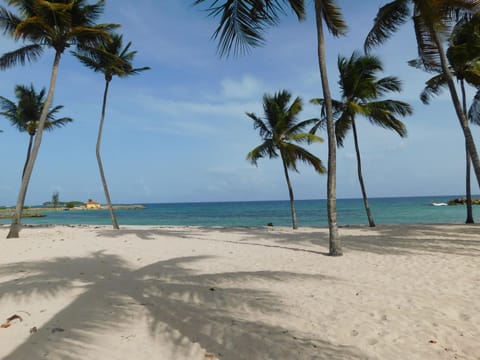 Natural landscape, Beach