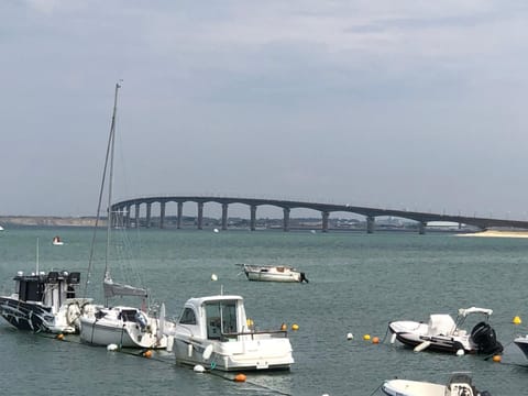 La rose trémière Villa in Rivedoux-Plage