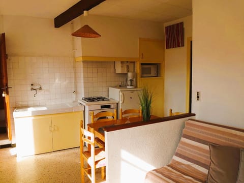 Kitchen or kitchenette, minibar, pet friendly, stove