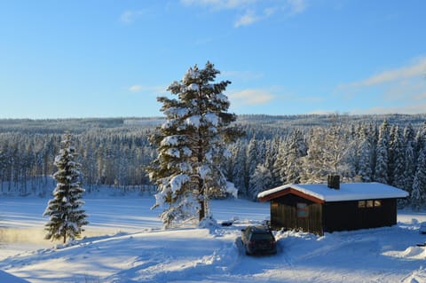Trysil Hyttegrend Nature lodge in Innlandet