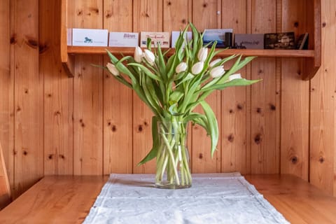 Appartement Lehen Apartment in Freiburg