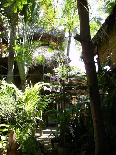 Patio, Garden, Garden view