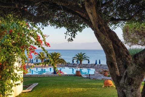 Garden, Pool view, Swimming pool