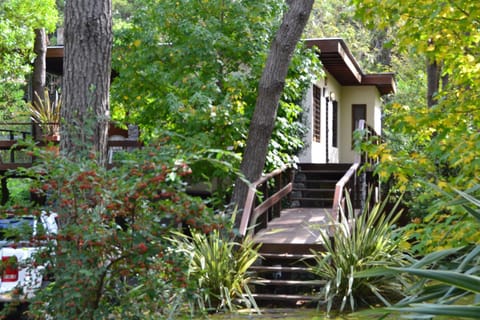 Facade/entrance, Garden