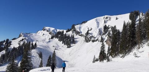 Florentiner Haus Apartment in Salzburgerland