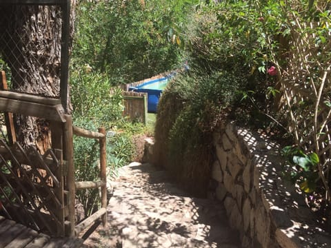 Hermosa Casa Pisco Elqui House in Coquimbo Region