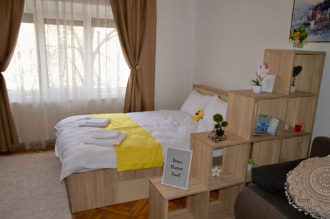 Central apartment with BIG room, WiFi, TV, Washer Condo in Timisoara
