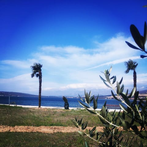 Spring, Day, Natural landscape, Beach, On site