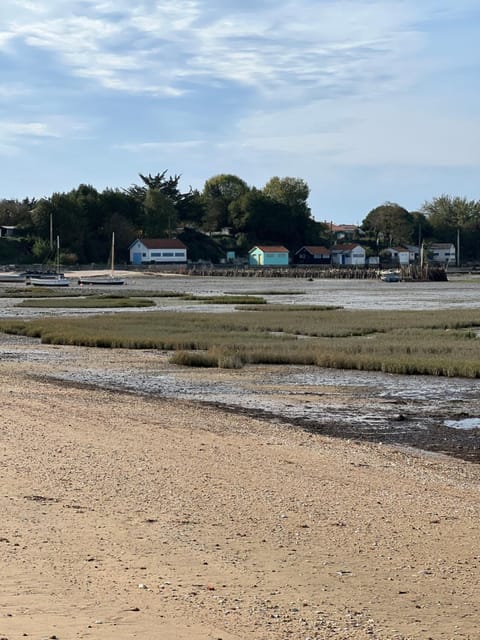 Beach, Sea view