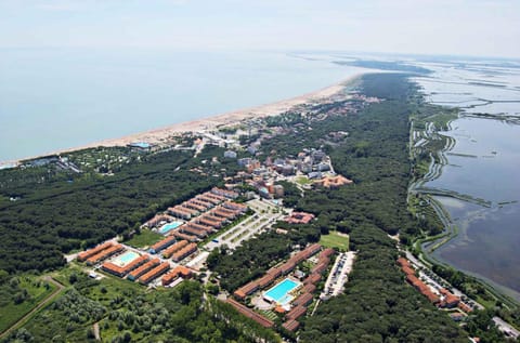 Summer, Beach, Area and facilities