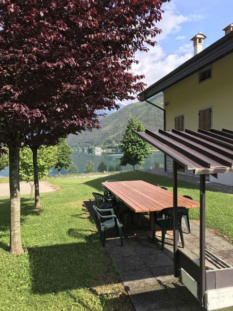Property building, Summer, Garden