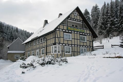 Haus Wald-Eck Apartment in Schmallenberg