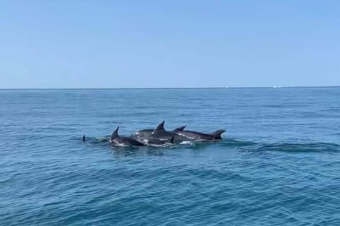 Hébergement insolite studio Grau du Roi Mas des Marines Piscine Apartamento in Le Grau-du-Roi