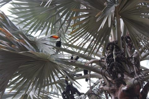 Sítio Nada é Por Acaso House in Rio de Janeiro
