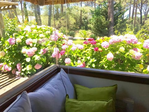 Living room, Garden view, Pool view, Street view