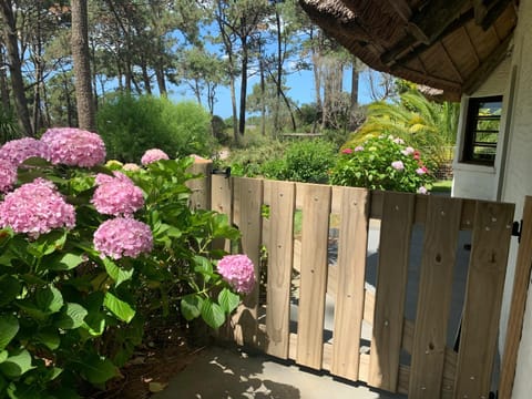 Facade/entrance, Garden