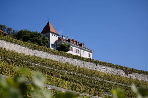 Domaine du Burignon Bed and Breakfast in Fribourg, Switzerland