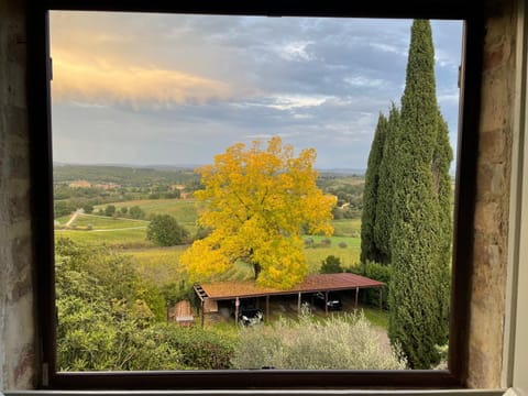 View (from property/room), Garden view, Inner courtyard view