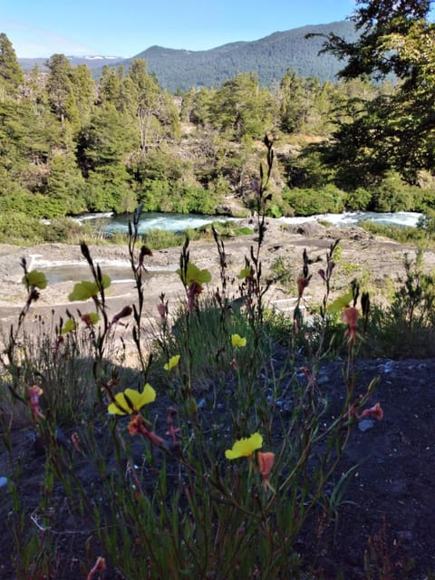 Garden, Garden view, River view