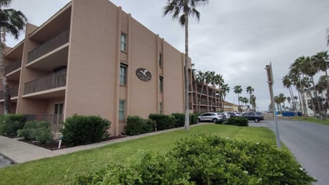 Beachview 103 Condominium Condo Condo in South Padre Island