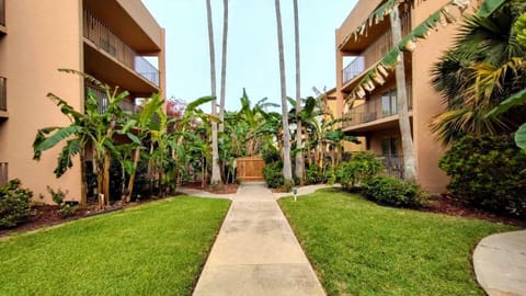 Beachview 105 Condominium Condo Apartment in South Padre Island