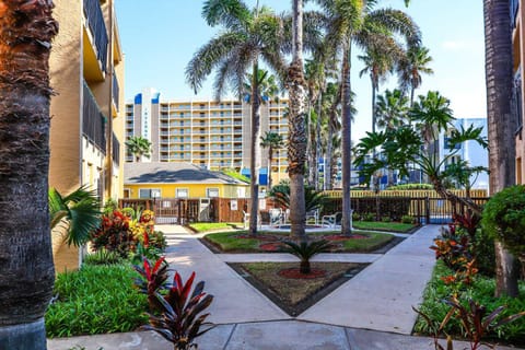 Surfside I 210 Condominium Condo Apartment in South Padre Island