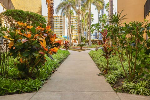 Surfside I 210 Condominium Condo Apartment in South Padre Island