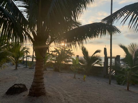 Natural landscape, Beach, Sunset